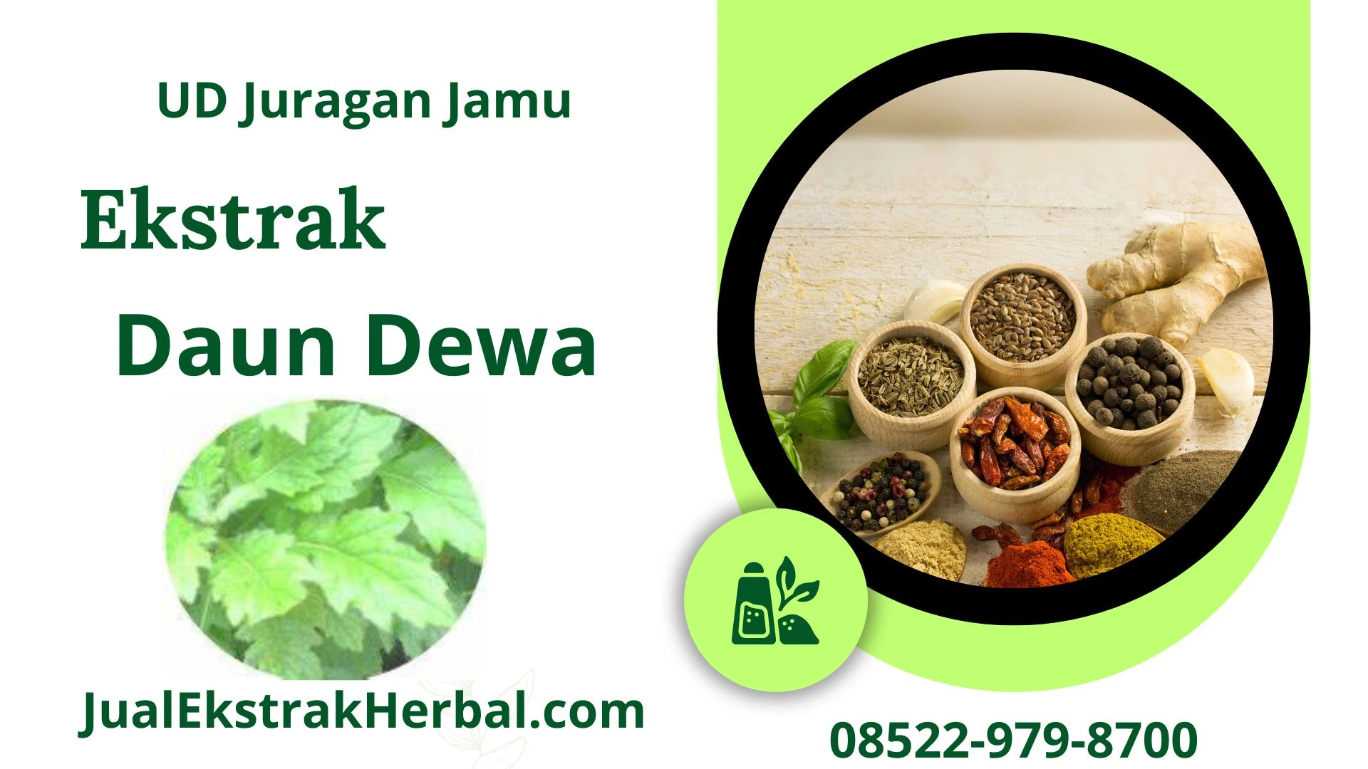 Jual Ekstrak Daun Dewa Di Ud Juragan Jamu Jogja