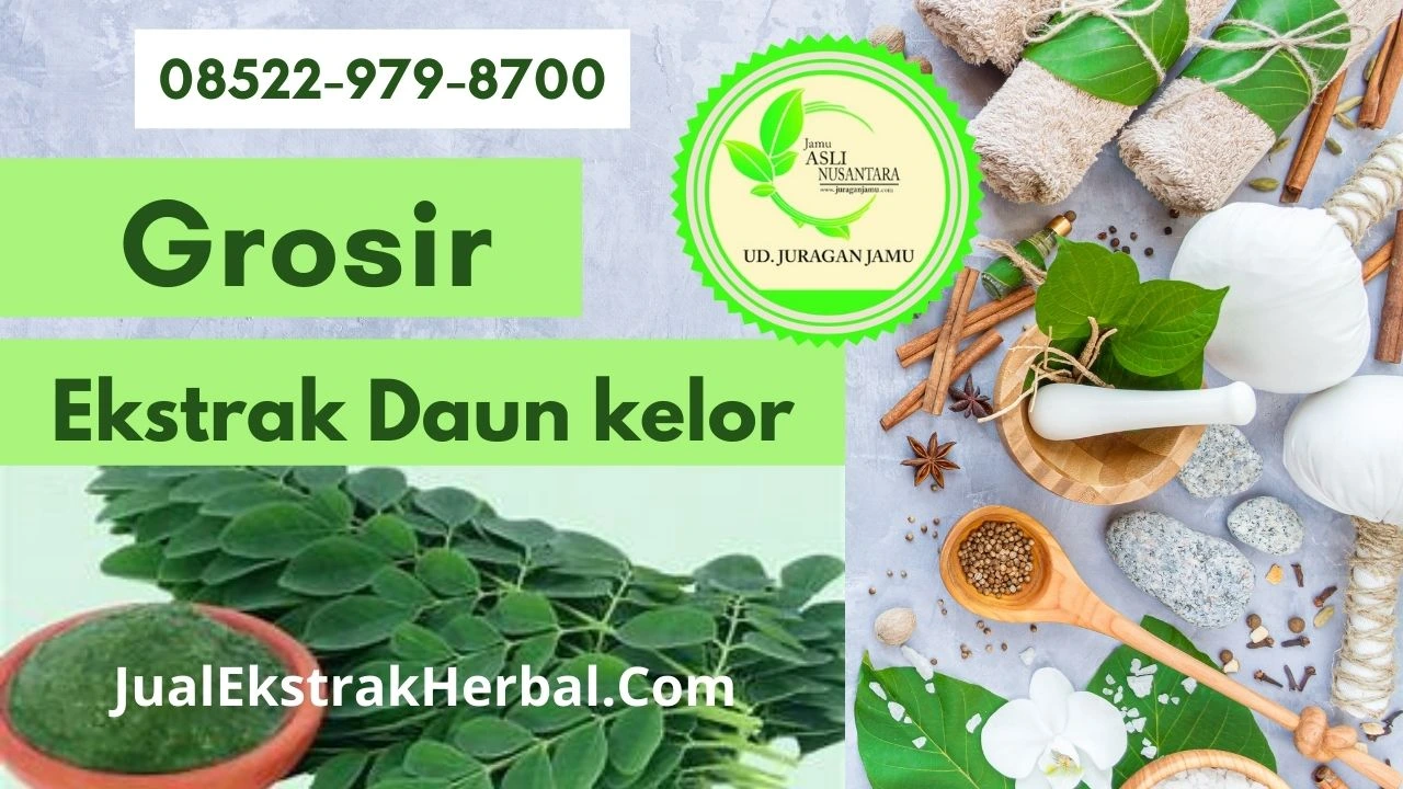 Jual Ekstrak Daun Kelor Di Ud Juragan Jamu Jogja