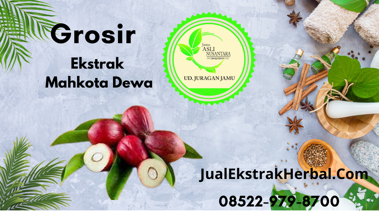 Jual Ekstrak Mahkota Dewa Di Ud juragan Jamu Jogja