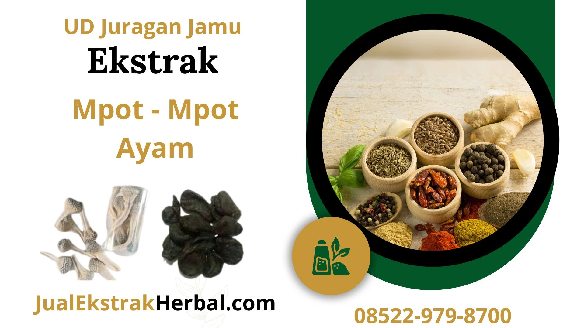 Jual Ekstrak Mpot-Mpot Ayam Ud Juragan Jamu Jogja