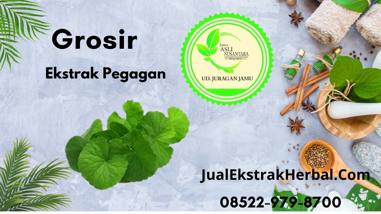 Jual Ekstrak Pegagan Di Ud Juragan Jamu Jogja