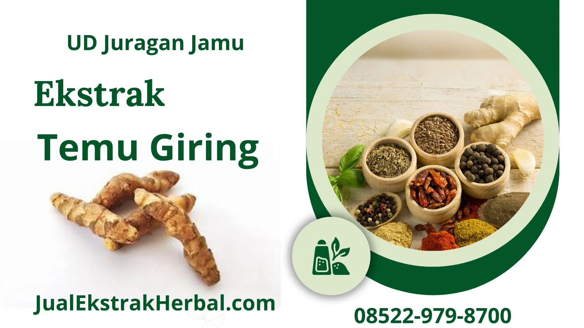 jual ekstrak temu giring di ud juragan jamu jogja