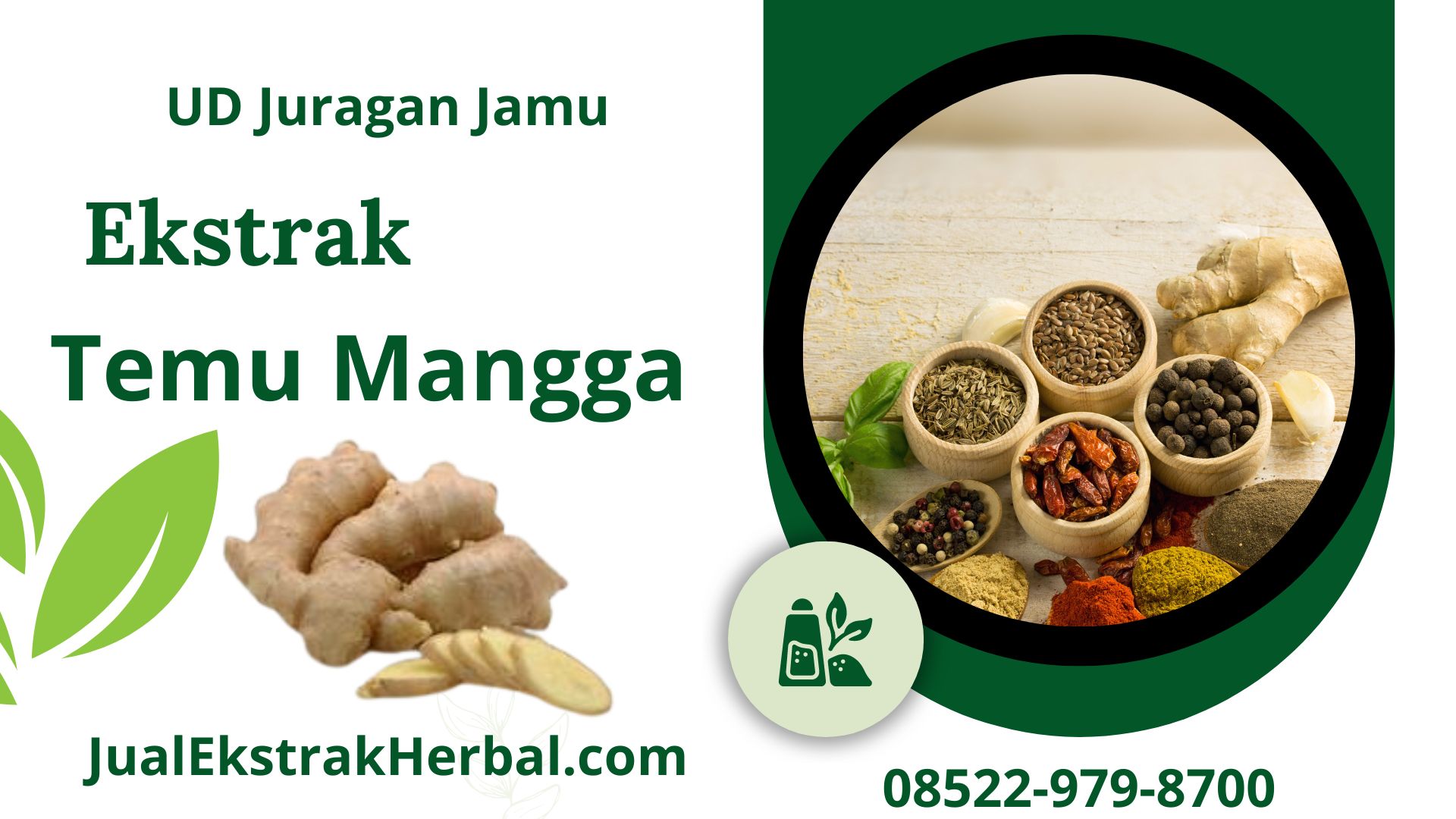 Jual Ekstrak Temu Mangga Di Ud Juragan Jamu Jogja