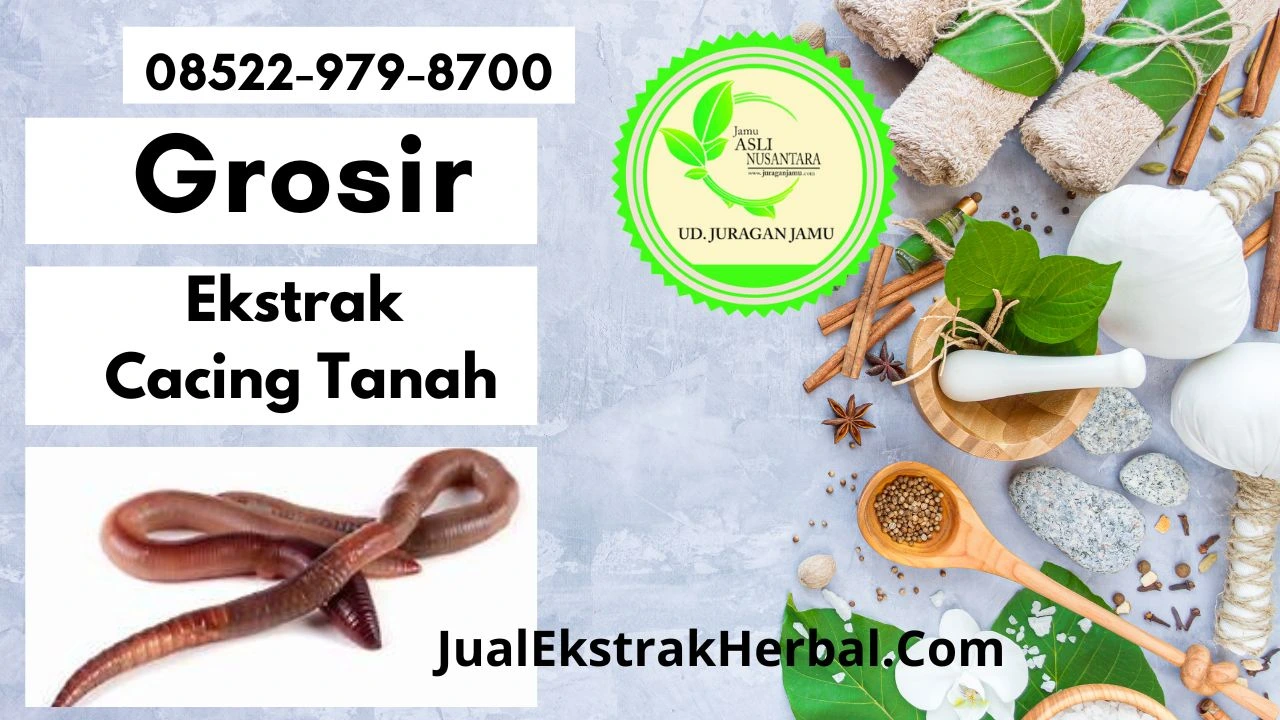 Jual Ekstrak Cacing Tanah Di Ud Juragan Jamu Jogja