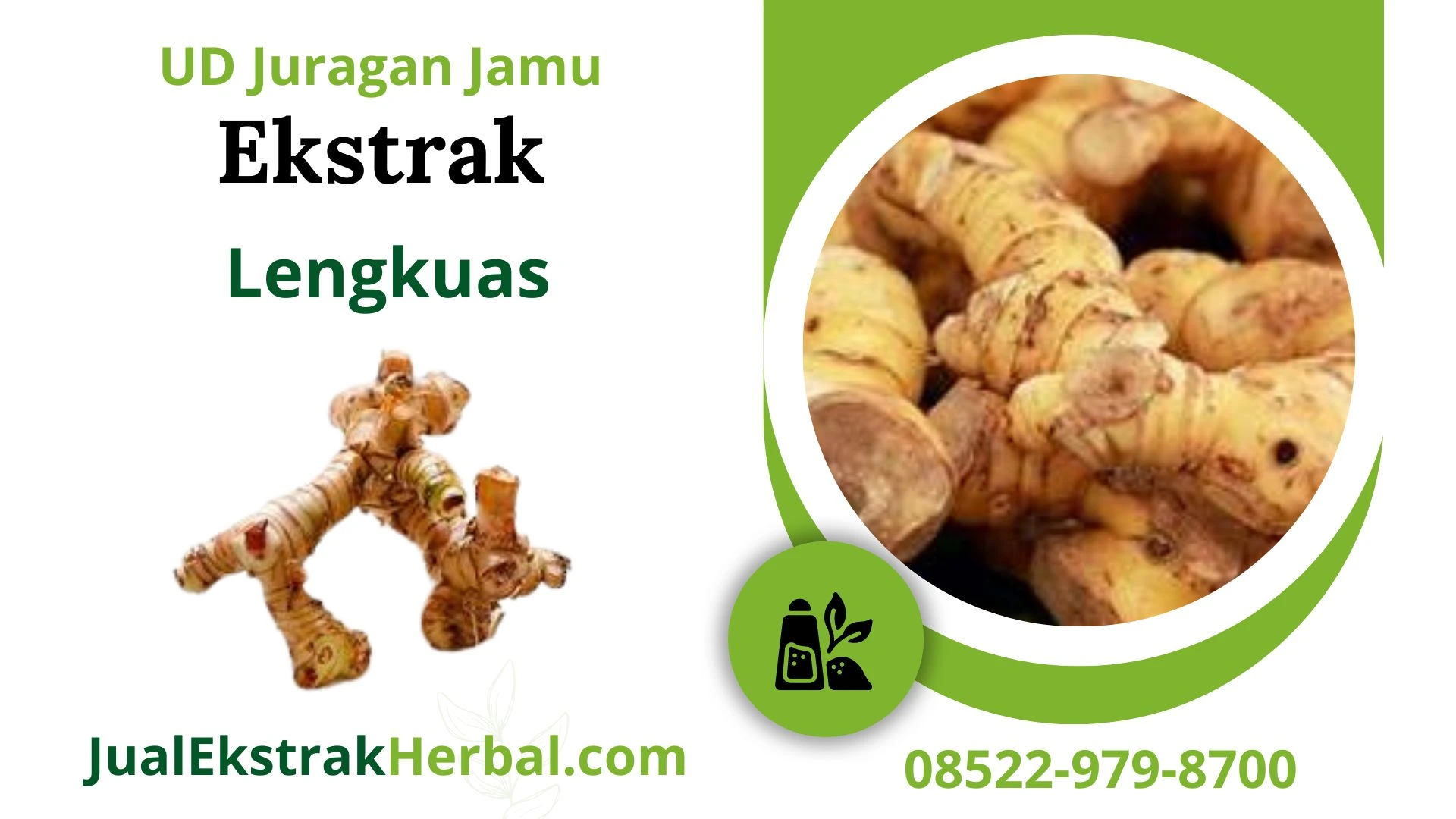 Jual Ekstrak Lengkuas Di UD Juragan Jamu Jogja