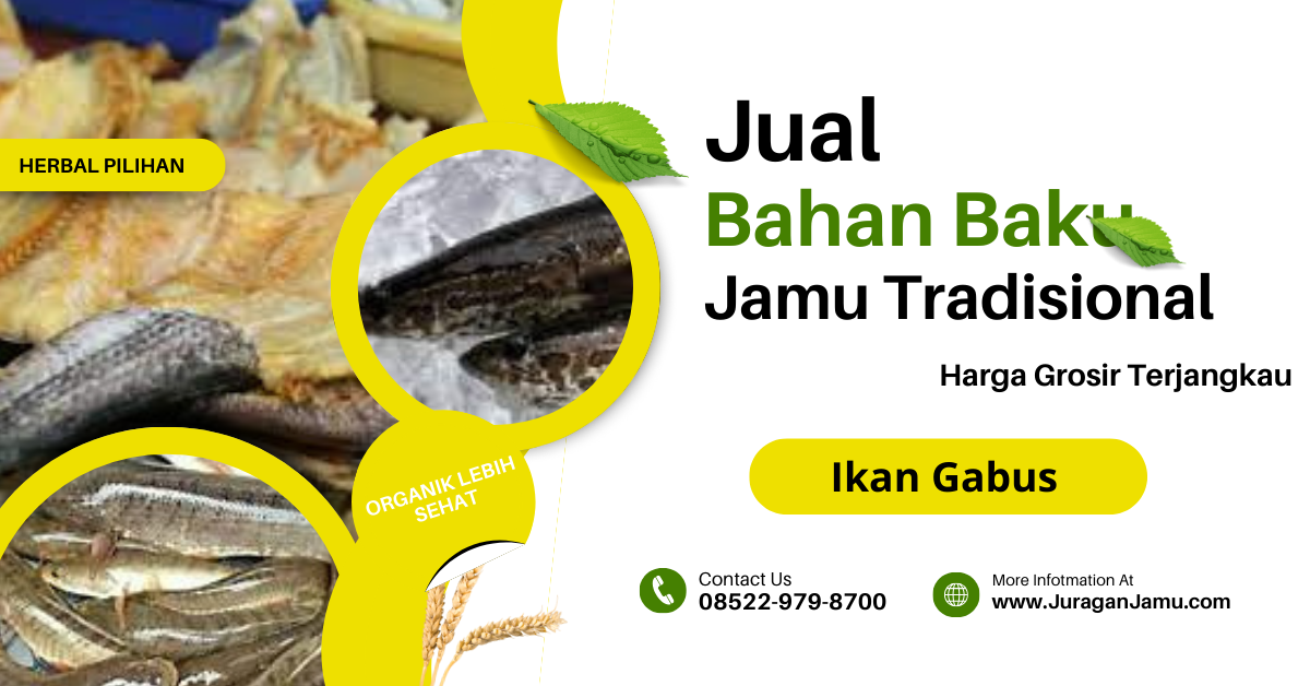 Ekstrak Ikan Gabus | Albumin (Serbuk) 1Kg