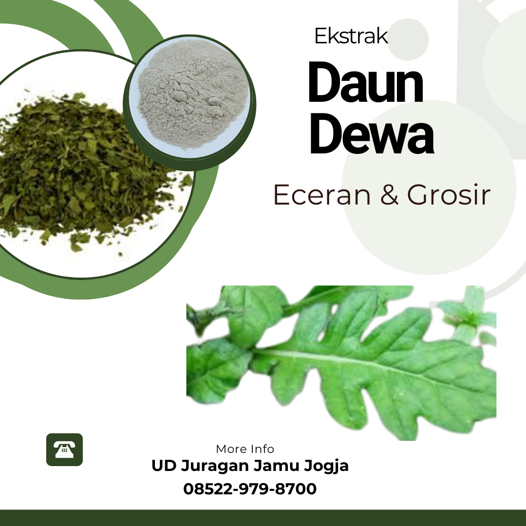 Jual Ekstrak Daun Dewa Harga Grosir: Solusi Hemat untuk Kesehatan Anda!