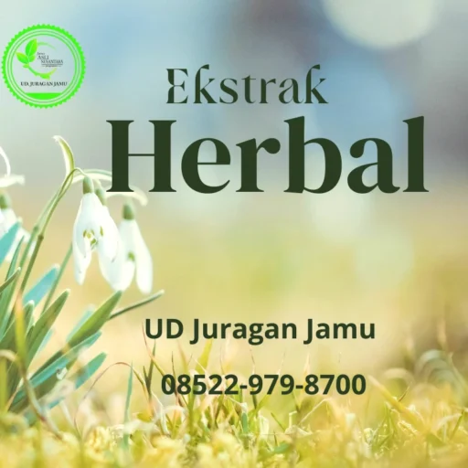 jualekstrakherbal.com solusi sehat