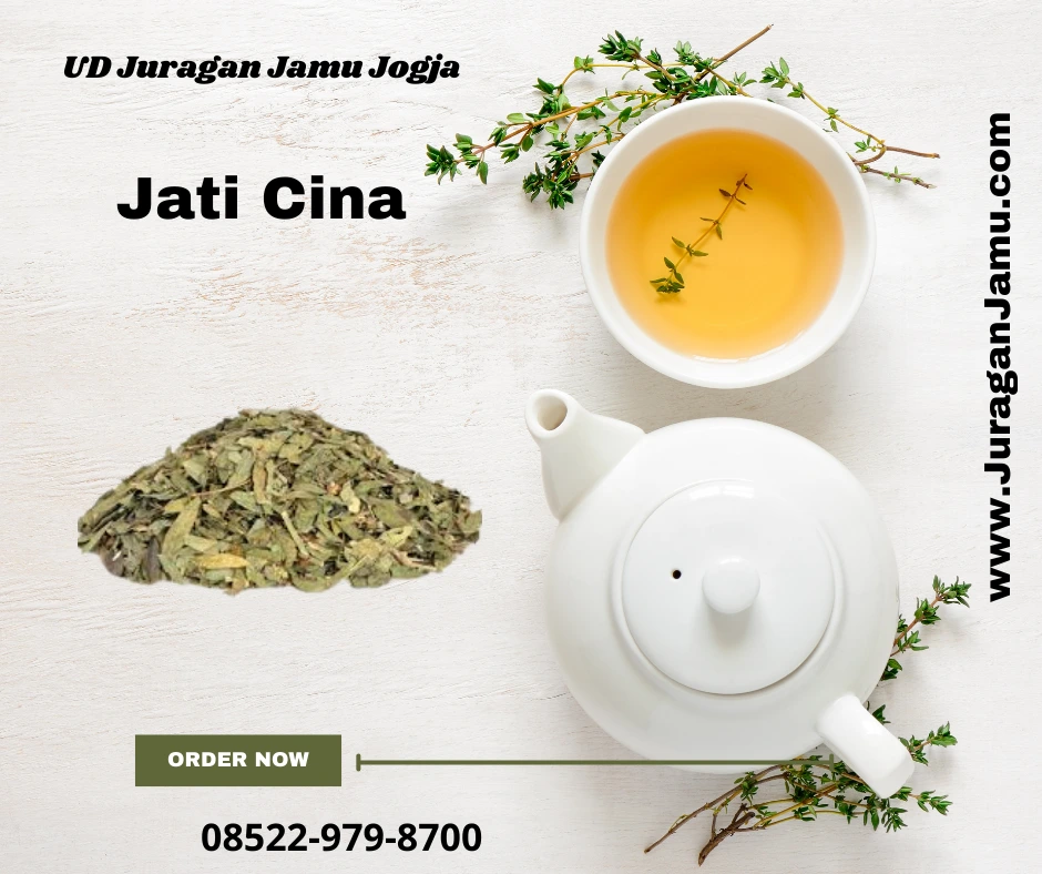 manfaat ekstrak jati cina