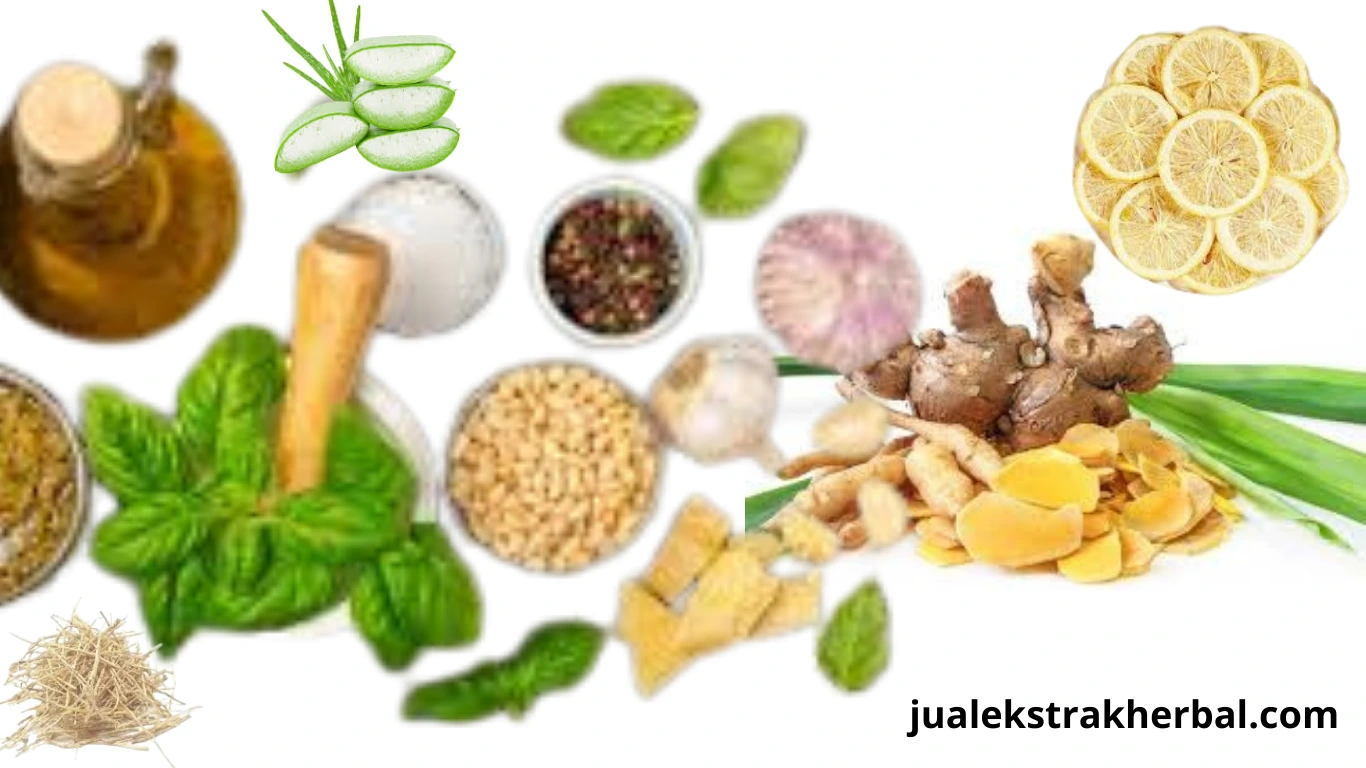 referensi ilmiah perbedaan ekstrak herbal